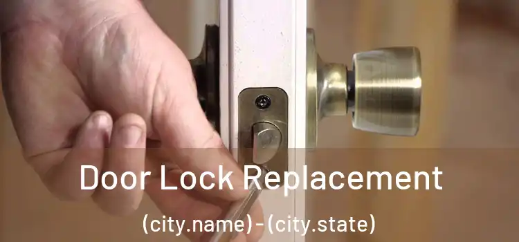  Door Lock Replacement (city.name) - (city.state)